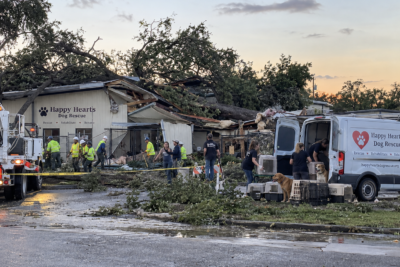 Happy Hearts Dog Rescue Seeks Funds for New House After Tree Destroys Shelter; All 18 Dogs Safe